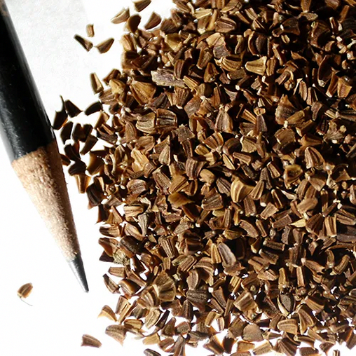 Seed Experts