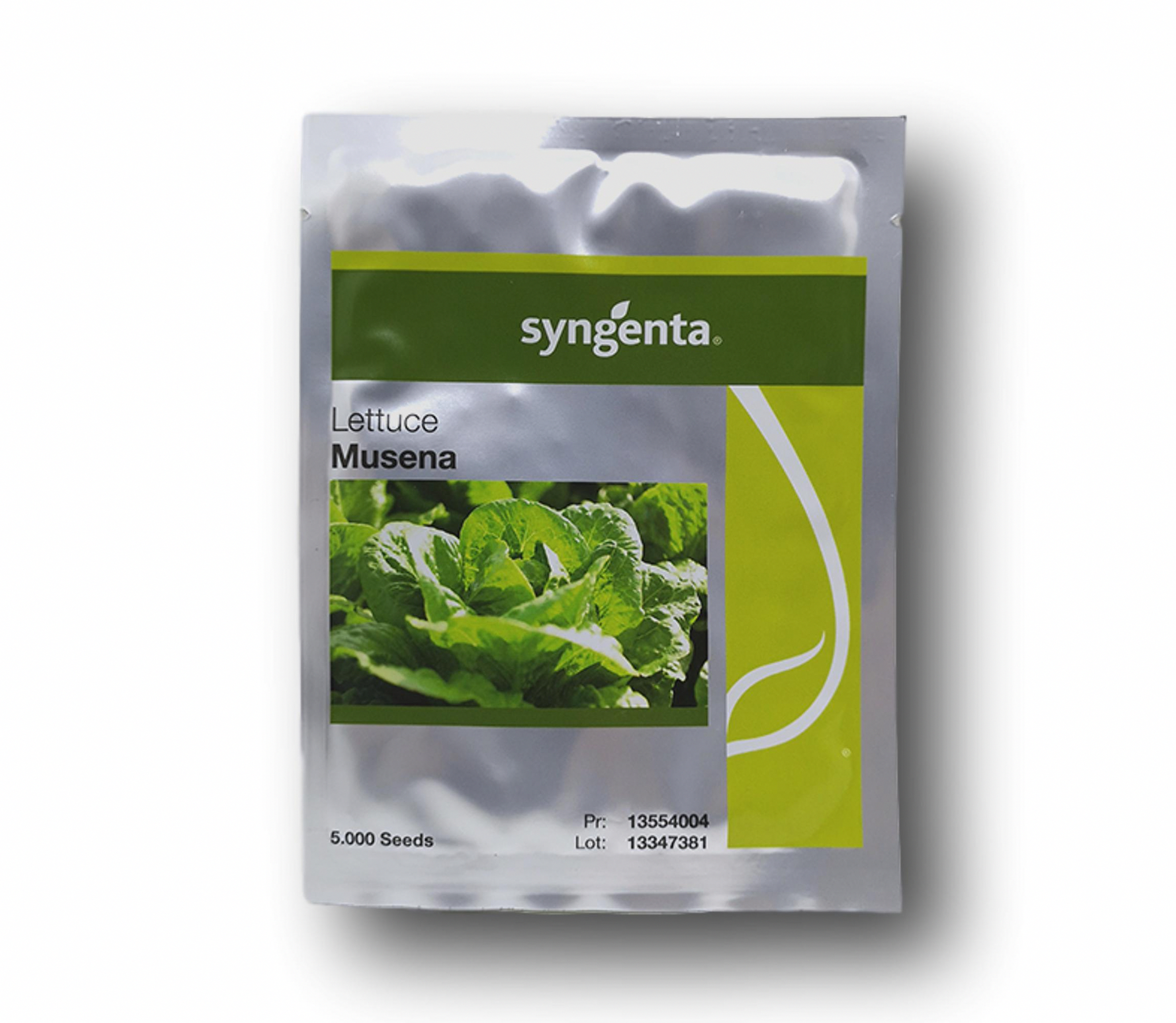Butterhead Lettuce