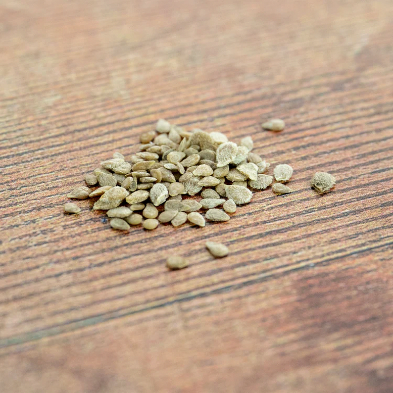 Vegetable Seeds
